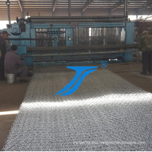 Hexagonal Galvanized Chicken Farming Wire Mesh